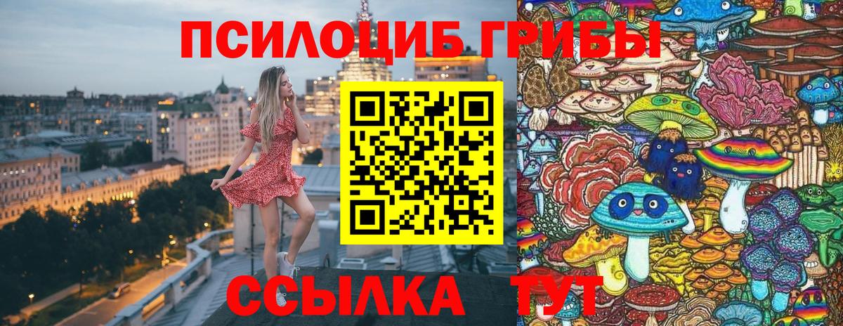 Галлюциногенные грибы MAGIC MUSHROOMS Железногорск