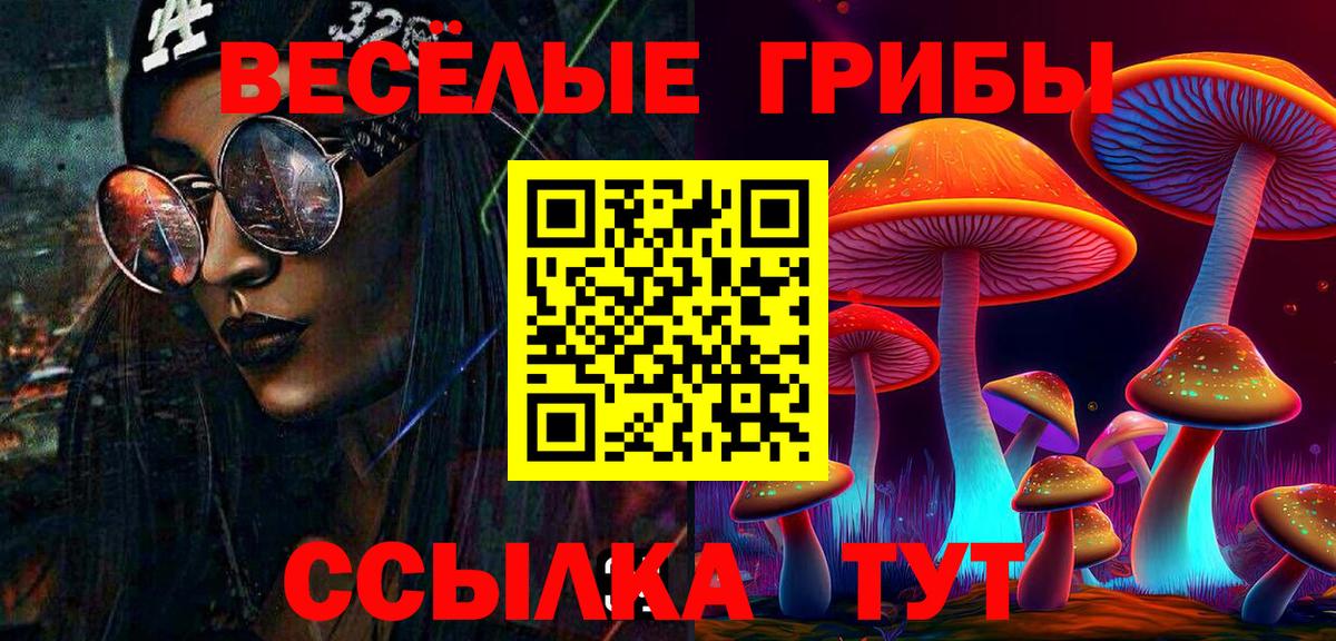 Псилоцибиновые грибы Psilocybe  Вход с VPN  Железногорск  Галлюциногенные грибы мицелий 
